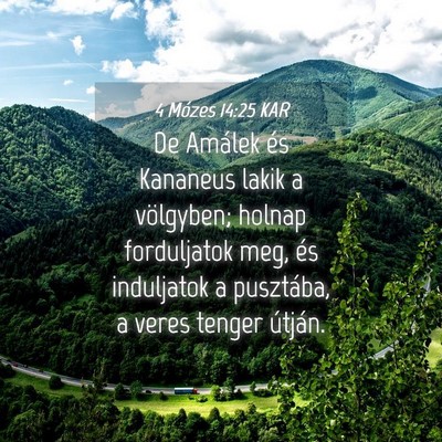 Picture 04 - 4 Mózes 14:25 KAR - De Amálek és Kananeus lakik a völgyben; holnap - Bible Verse Picture