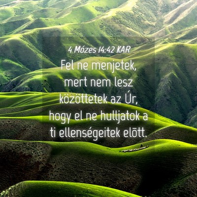 Picture 04 - 4 Mózes 14:42 KAR - Fel ne menjetek, mert nem lesz közöttetek az - Bible Verse Picture