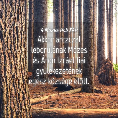 Picture 04 - 4 Mózes 14:5 KAR - Akkor arczczal leborulának Mózes és Áron - Bible Verse Picture