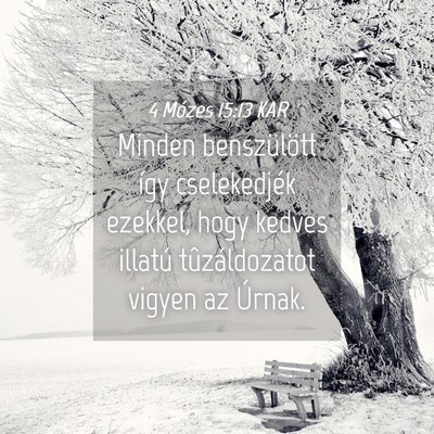 Picture 04 - 4 Mózes 15:13 KAR - Minden benszülött így cselekedjék ezekkel, - Bible Verse Picture