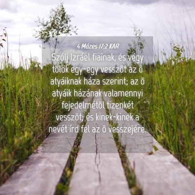 Picture 04 - 4 Mózes 17:2 KAR - Szólj Izráel fiainak, és végy tõlök egy-egy - Bible Verse Picture