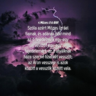 Picture 04 - 4 Mózes 17:6 KAR - Szóla azért Mózes Izráel fiainak, és adának - Bible Verse Picture
