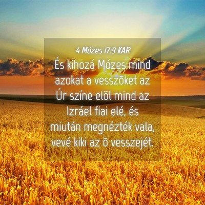 Picture 04 - 4 Mózes 17:9 KAR - És kihozá Mózes mind azokat a vesszõket az - Bible Verse Picture