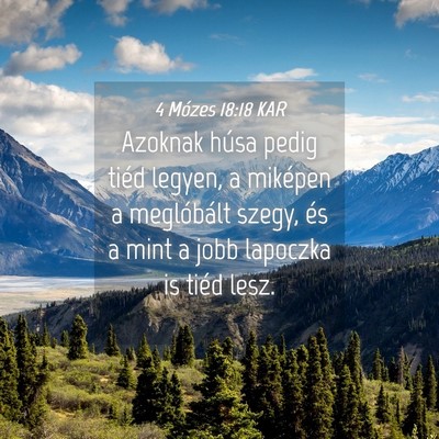 Picture 04 - 4 Mózes 18:18 KAR - Azoknak húsa pedig tiéd legyen, a miképen a - Bible Verse Picture