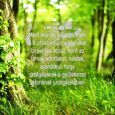 Picture 04 - 4 Mózes 18:6 KAR - Mert íme én választottam a ti atyátokfiait, a - Bible Verse Picture