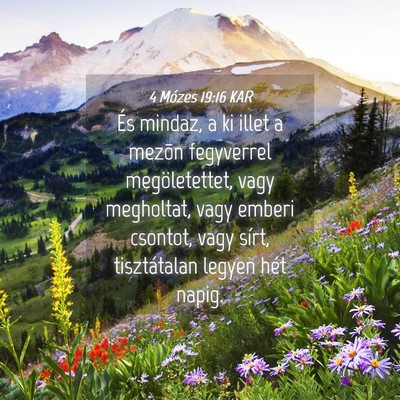 Picture 04 - 4 Mózes 19:16 KAR - És mindaz, a ki illet a mezõn fegyverrel - Bible Verse Picture