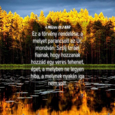 Picture 04 - 4 Mózes 19:2 KAR - Ez a törvény rendelése, a melyet parancsolt az - Bible Verse Picture