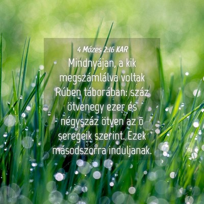 Picture 04 - 4 Mózes 2:16 KAR - Mindnyájan, a kik megszámlálva voltak Rúben - Bible Verse Picture