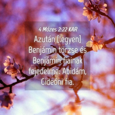 Picture 04 - 4 Mózes 2:22 KAR - Azután [legyen] Benjámin törzse és Benjámin - Bible Verse Picture