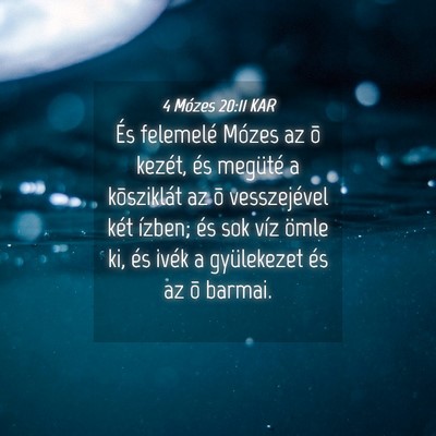 Picture 04 - 4 Mózes 20:11 KAR - És felemelé Mózes az õ kezét, és megüté a - Bible Verse Picture