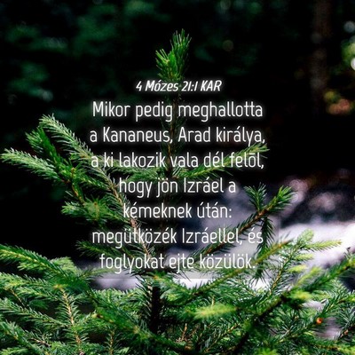 Picture 04 - 4 Mózes 21:1 KAR - Mikor pedig meghallotta a Kananeus, Arad - Bible Verse Picture