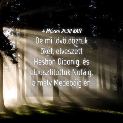 Picture 04 - 4 Mózes 21:30 KAR - De mi lövöldöztük õket, elveszett Hesbon - Bible Verse Picture