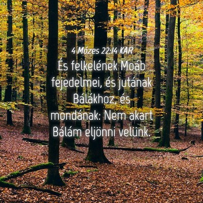 Picture 04 - 4 Mózes 22:14 KAR - És felkelének Moáb fejedelmei, és jutának - Bible Verse Picture