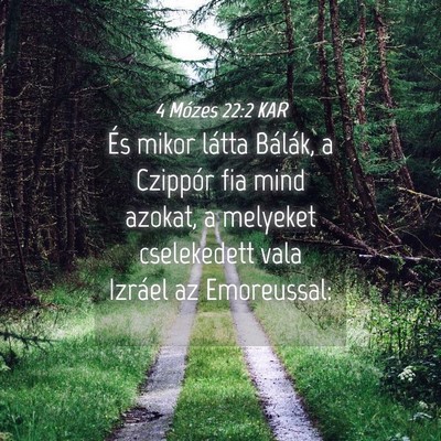 Picture 04 - 4 Mózes 22:2 KAR - És mikor látta Bálák, a Czippór fia mind - Bible Verse Picture