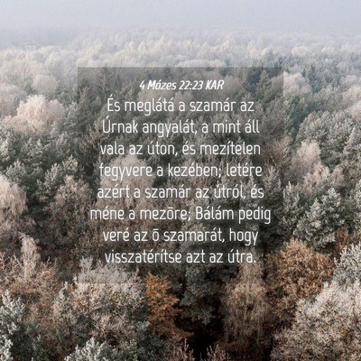 Picture 04 - 4 Mózes 22:23 KAR - És meglátá a szamár az Úrnak angyalát, a - Bible Verse Picture