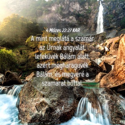 Picture 04 - 4 Mózes 22:27 KAR - A mint meglátá a szamár az Úrnak angyalát, - Bible Verse Picture