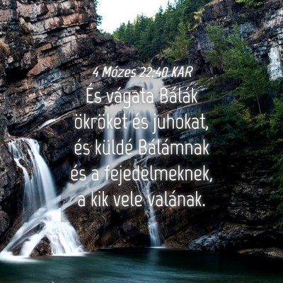 Picture 04 - 4 Mózes 22:40 KAR - És vágata Bálák ökröket és juhokat, és - Bible Verse Picture