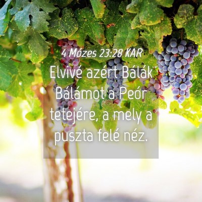 Picture 04 - 4 Mózes 23:28 KAR - Elvivé azért Bálák Bálámot a Peór - Bible Verse Picture