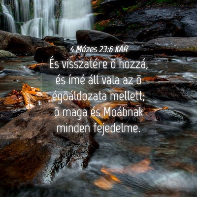 Picture 04 - 4 Mózes 23:6 KAR - És visszatére õ hozzá, és ímé áll vala az - Bible Verse Picture
