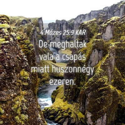 Picture 04 - 4 Mózes 25:9 KAR - De meghaltak vala a csapás miatt huszonnégy - Bible Verse Picture