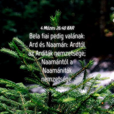 Picture 04 - 4 Mózes 26:40 KAR - Bela fiai pedig valának: Ard és Naamán: - Bible Verse Picture