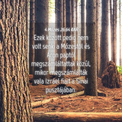 Picture 04 - 4 Mózes 26:64 KAR - Ezek között pedig nem volt senki a Mózestõl - Bible Verse Picture
