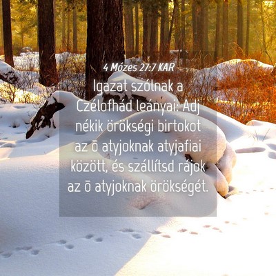 Picture 04 - 4 Mózes 27:7 KAR - Igazat szólnak a Czélofhád leányai: Adj - Bible Verse Picture