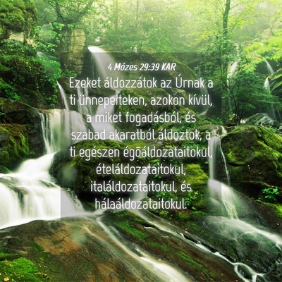Picture 04 - 4 Mózes 29:39 KAR - Ezeket áldozzátok az Úrnak a ti ünnepeiteken, - Bible Verse Picture