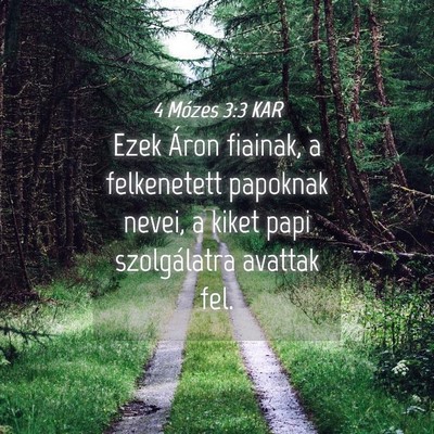 Picture 04 - 4 Mózes 3:3 KAR - Ezek Áron fiainak, a felkenetett papoknak nevei, - Bible Verse Picture