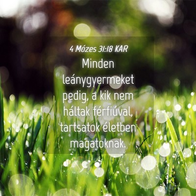 Picture 04 - 4 Mózes 31:18 KAR - Minden leánygyermeket pedig, a kik nem háltak - Bible Verse Picture
