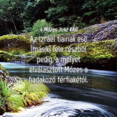 Picture 04 - 4 Mózes 31:42 KAR - Az Izráel fiainak esõ [másik] fele részbõl - Bible Verse Picture