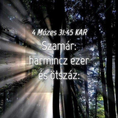 Picture 04 - 4 Mózes 31:45 KAR - Szamár: harmincz ezer és - Bible Verse Picture