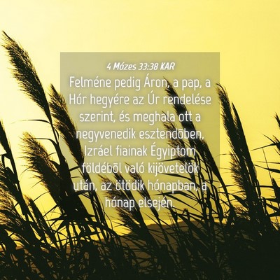 Picture 04 - 4 Mózes 33:38 KAR - Felméne pedig Áron, a pap, a Hór hegyére az - Bible Verse Picture