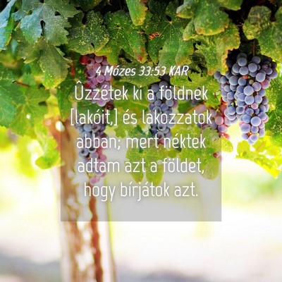 Picture 04 - 4 Mózes 33:53 KAR - Ûzzétek ki a földnek [lakóit,] és lakozzatok - Bible Verse Picture