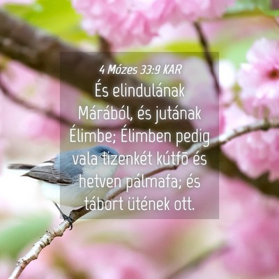 Picture 04 - 4 Mózes 33:9 KAR - És elindulának Márából, és jutának - Bible Verse Picture