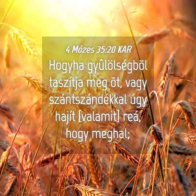 Picture 04 - 4 Mózes 35:20 KAR - Hogyha gyûlölségbõl taszítja meg õt, vagy - Bible Verse Picture