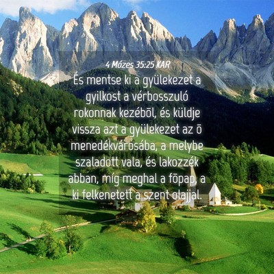 Picture 04 - 4 Mózes 35:25 KAR - És mentse ki a gyülekezet a gyilkost a - Bible Verse Picture