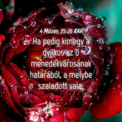 Picture 04 - 4 Mózes 35:26 KAR - Ha pedig kimegy a gyilkos az õ - Bible Verse Picture