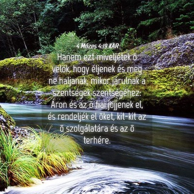 Picture 04 - 4 Mózes 4:19 KAR - Hanem ezt míveljétek õ velök, hogy éljenek - Bible Verse Picture
