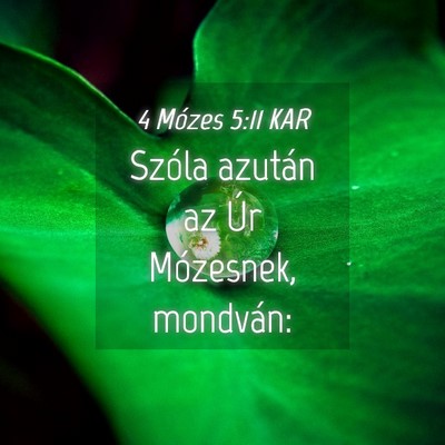 Picture 04 - 4 Mózes 5:11 KAR - Szóla azután az Úr Mózesnek, - Bible Verse Picture