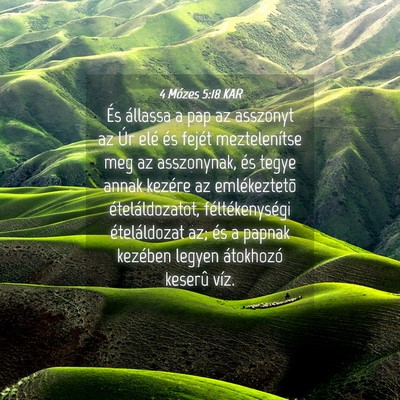Picture 04 - 4 Mózes 5:18 KAR - És állassa a pap az asszonyt az Úr elé és - Bible Verse Picture