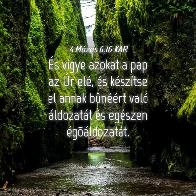 Picture 04 - 4 Mózes 6:16 KAR - És vigye azokat a pap az Úr elé, és - Bible Verse Picture