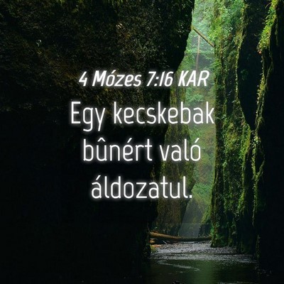 Picture 04 - 4 Mózes 7:16 KAR - Egy kecskebak bûnért való - Bible Verse Picture