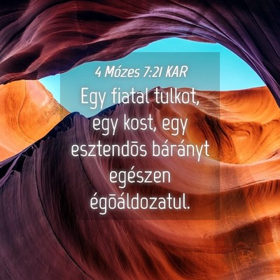 Picture 04 - 4 Mózes 7:21 KAR - Egy fiatal tulkot, egy kost, egy esztendõs - Bible Verse Picture