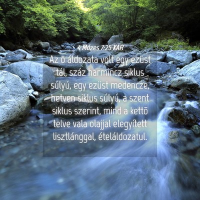 Picture 04 - 4 Mózes 7:25 KAR - Az õ áldozata volt egy ezüst tál, száz - Bible Verse Picture