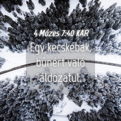 Picture 04 - 4 Mózes 7:40 KAR - Egy kecskebak, bûnért való - Bible Verse Picture