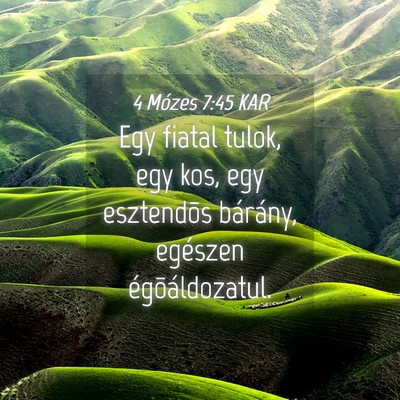 Picture 04 - 4 Mózes 7:45 KAR - Egy fiatal tulok, egy kos, egy esztendõs - Bible Verse Picture