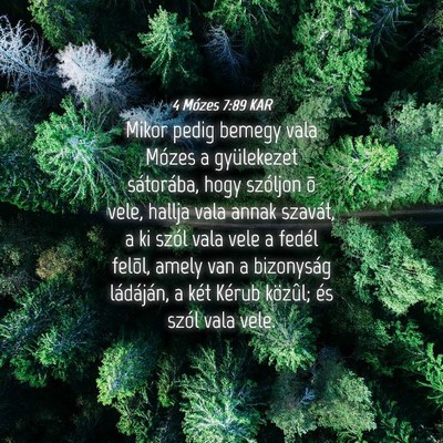 Picture 04 - 4 Mózes 7:89 KAR - Mikor pedig bemegy vala Mózes a gyülekezet - Bible Verse Picture
