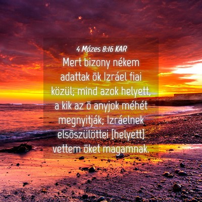 Picture 04 - 4 Mózes 8:16 KAR - Mert bizony nékem adattak õk Izráel fiai - Bible Verse Picture