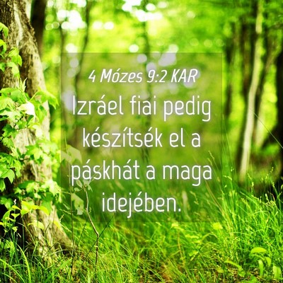 Picture 04 - 4 Mózes 9:2 KAR - Izráel fiai pedig készítsék el a páskhát a - Bible Verse Picture